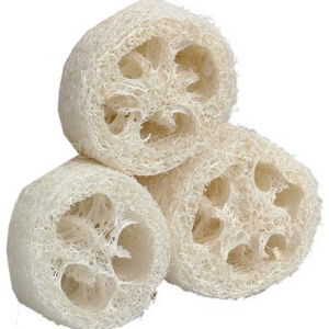 Tranches de loofah - loofa - luffa