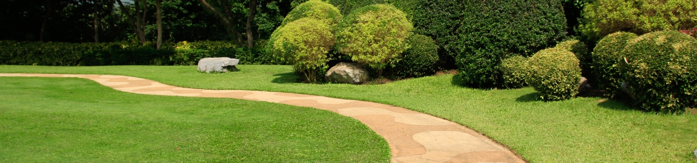 Pourquoi utiliser la terre de diatomée au jardin ?