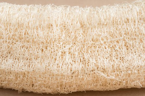 Focus sur les fibres des loofahs