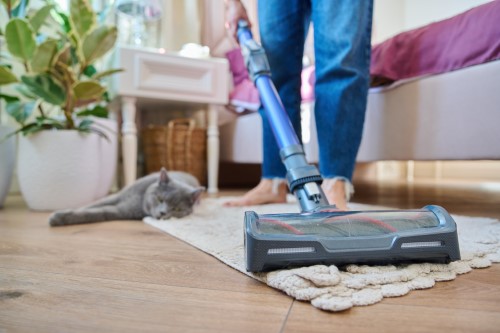 passage d’un aspirateur sur un tapis